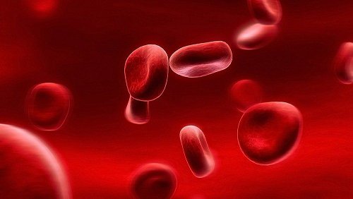 лимфолейкоз, болезни крови - лечение катушками Мишина